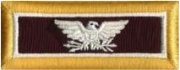 U.S. Colonel - Medical Corps